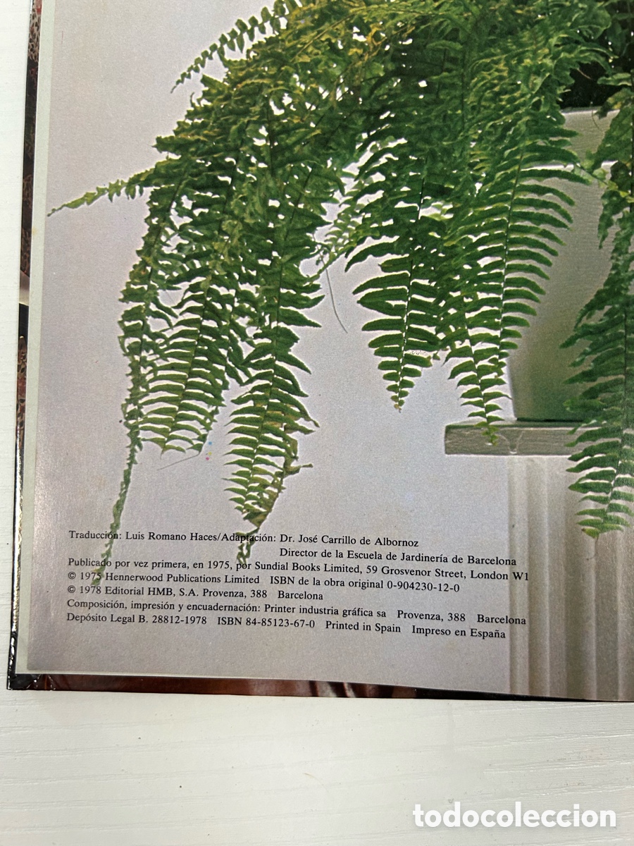 Libros de segunda mano: Libro Flores y plantas en casa - Foto 3