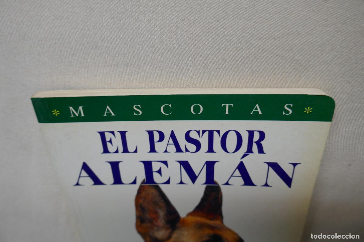 Libros de segunda mano: MASCOTAS - EL PASTOR ALEMAN -ED. SUSAETA - Foto 3