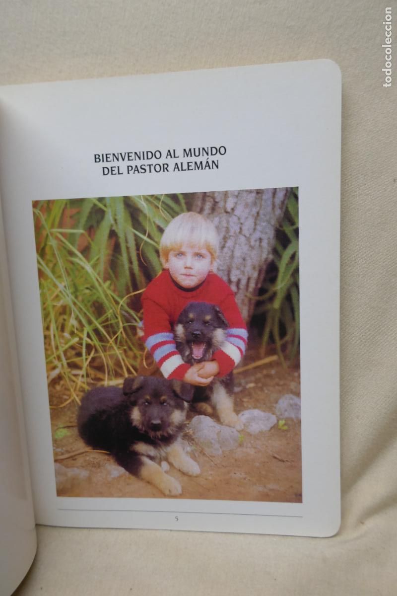Libros de segunda mano: MASCOTAS - EL PASTOR ALEMAN -ED. SUSAETA - Foto 7