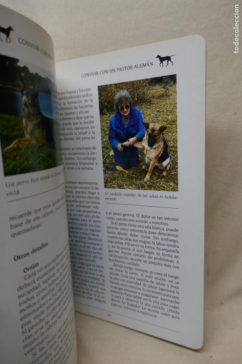 Libros de segunda mano: MASCOTAS - EL PASTOR ALEMAN -ED. SUSAETA - Foto 8