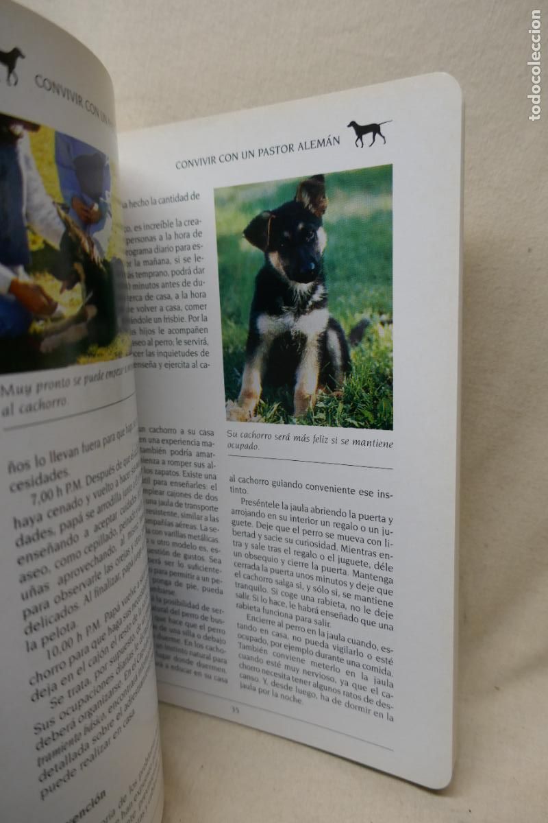 Libros de segunda mano: MASCOTAS - EL PASTOR ALEMAN -ED. SUSAETA - Foto 9