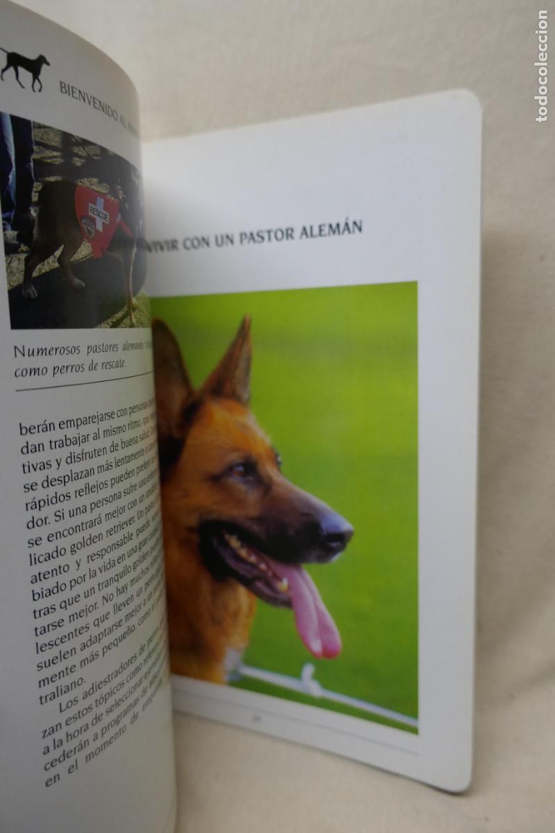 Libros de segunda mano: MASCOTAS - EL PASTOR ALEMAN -ED. SUSAETA - Foto 10
