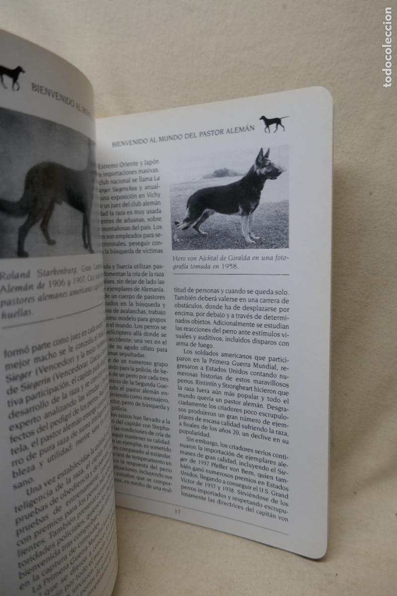 Libros de segunda mano: MASCOTAS - EL PASTOR ALEMAN -ED. SUSAETA - Foto 11