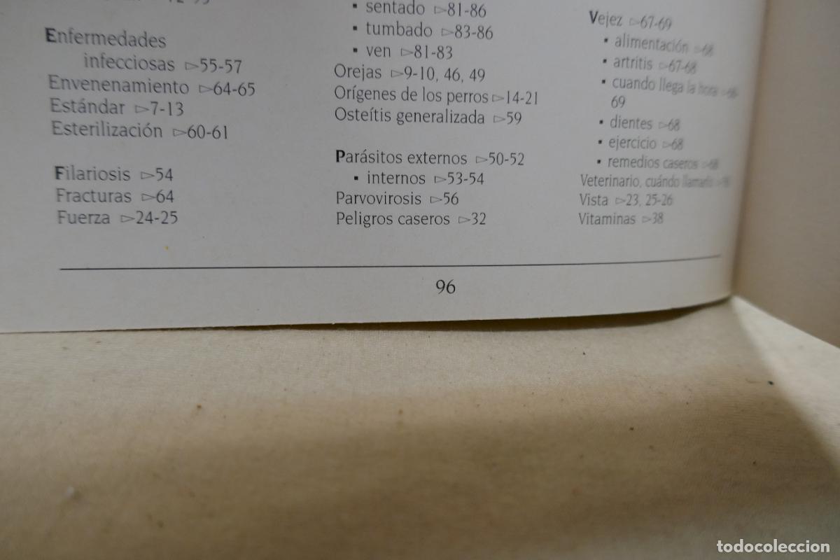 Libros de segunda mano: MASCOTAS - EL PASTOR ALEMAN -ED. SUSAETA - Foto 12
