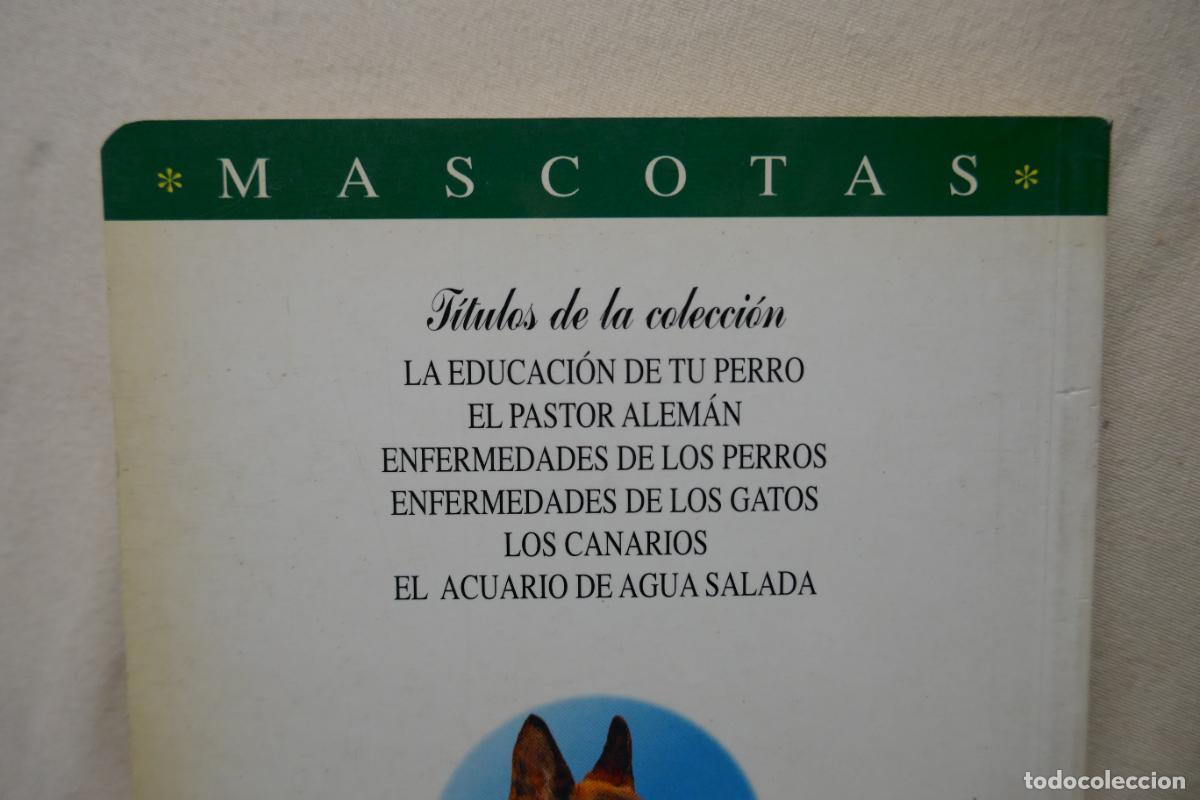 Libros de segunda mano: MASCOTAS - EL PASTOR ALEMAN -ED. SUSAETA - Foto 15