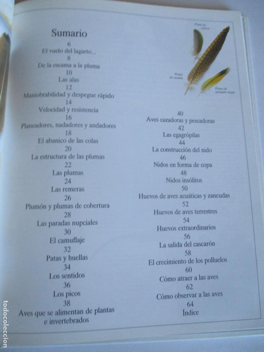 Libros de segunda mano: DAVID BURNIE El p&aacute;jaro y su nido W29280 - Foto 2