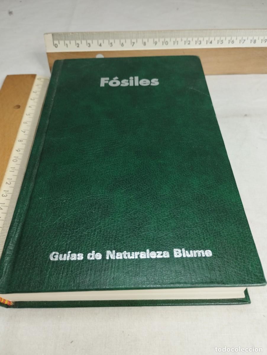Libros de segunda mano: F&oacute;siles. Gu&iacute;as de la naturaleza Blume. - Foto 1