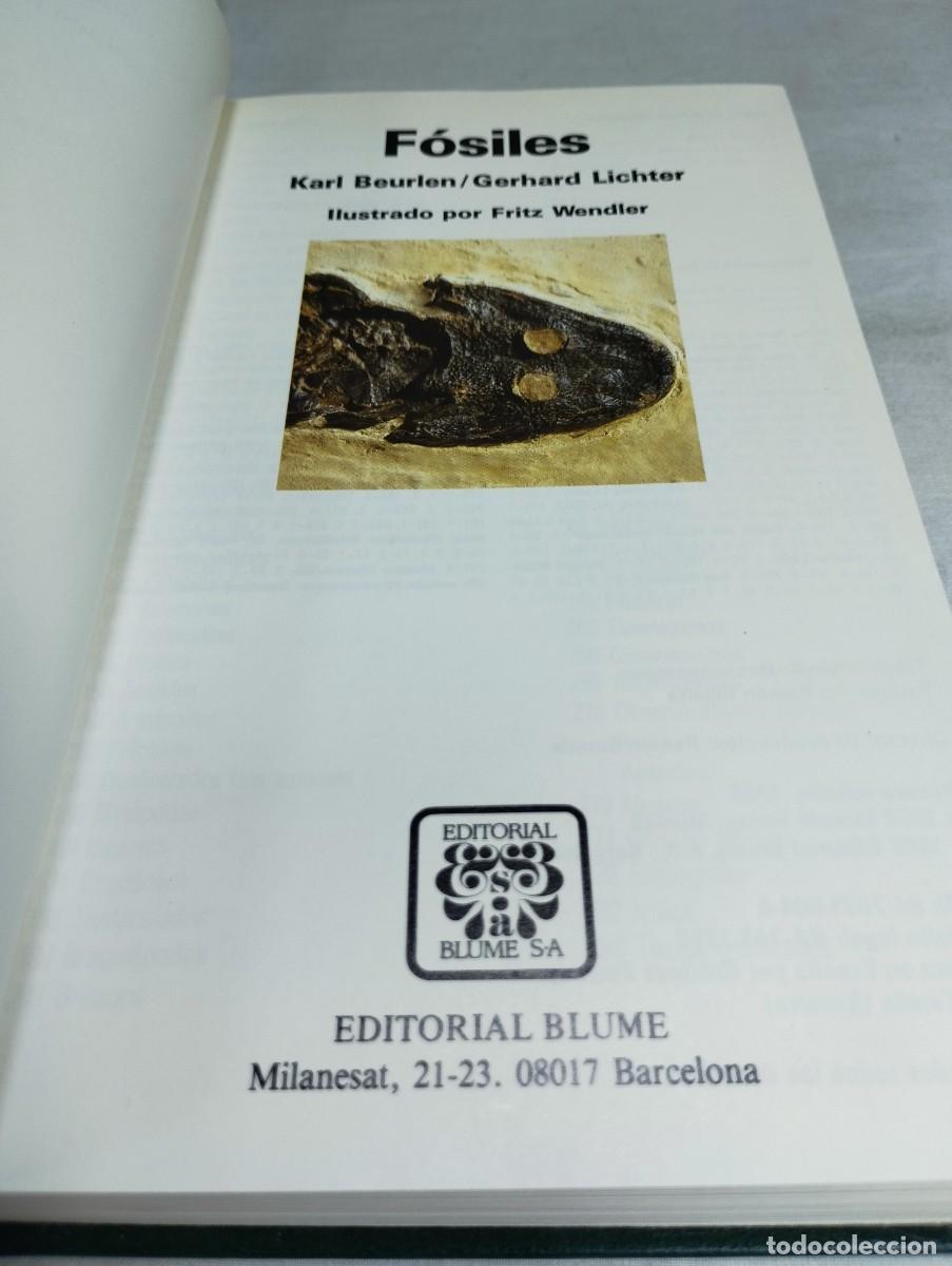 Libros de segunda mano: F&oacute;siles. Gu&iacute;as de la naturaleza Blume. - Foto 2