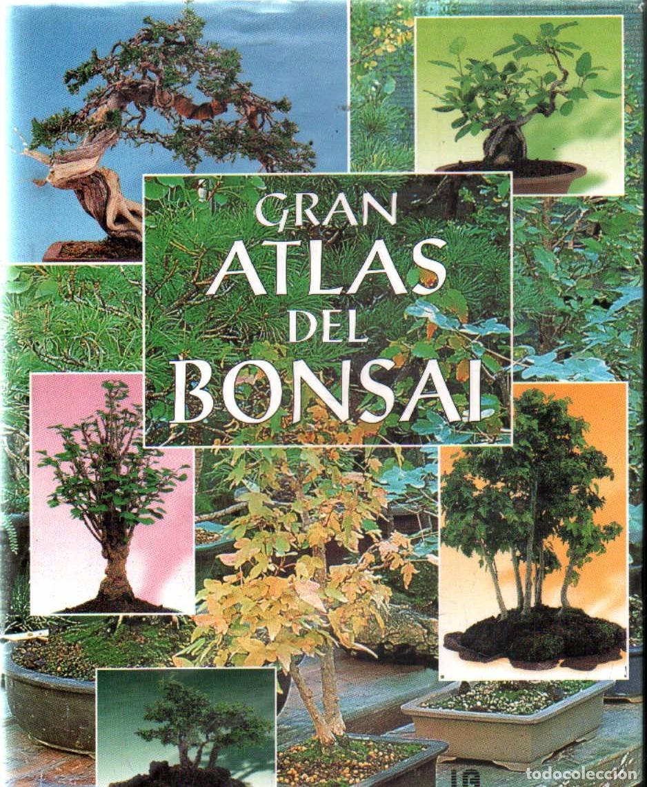 Libros de segunda mano: GRAN ATLAS DEL BONSAI. A-BOT-150 - Foto 1