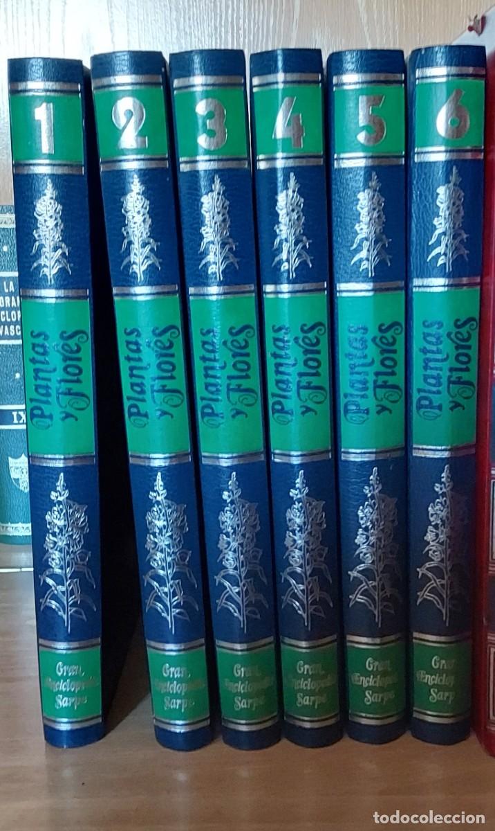 Libros de segunda mano: GRAN ENCICLOPEDIA SARPE DE PLANTAS Y FLORES - Foto 1