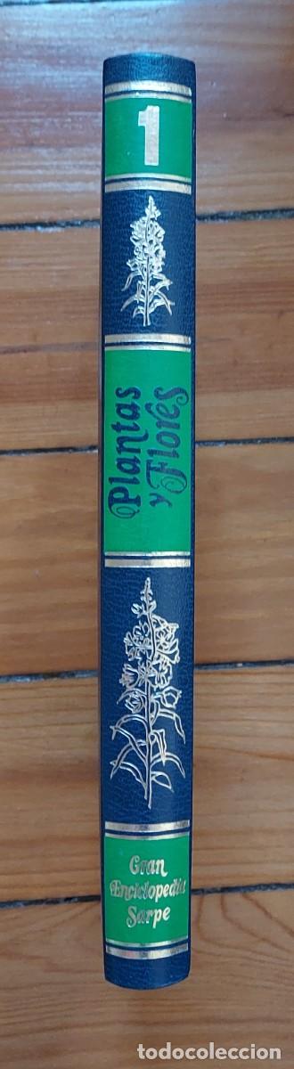 Libros de segunda mano: GRAN ENCICLOPEDIA SARPE DE PLANTAS Y FLORES - Foto 2