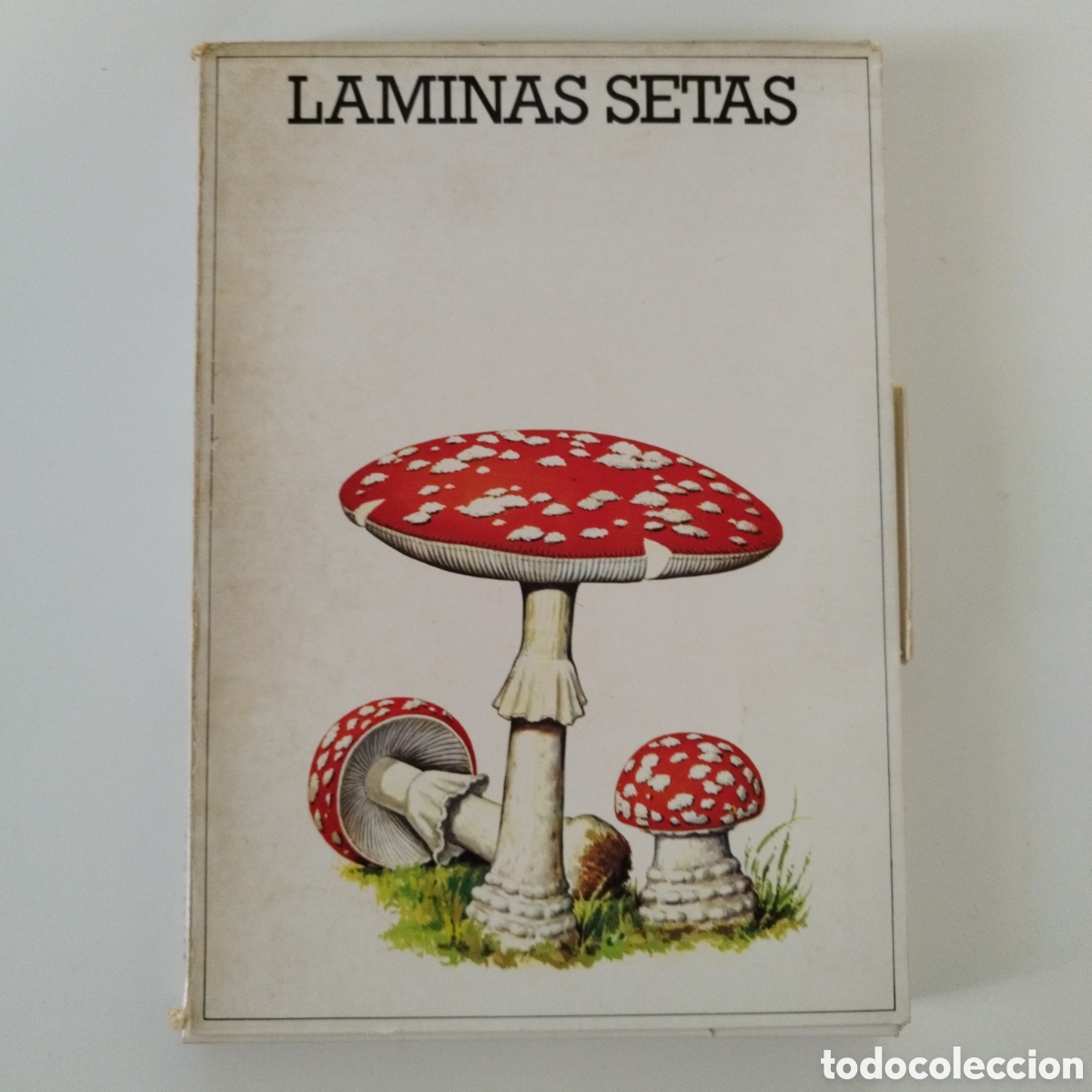 Libros de segunda mano: L&Aacute;MINAS SETAS / HONGOS / CARPETA COMPLETA 50 FICHAS / LABORATORIOS EMYFAR