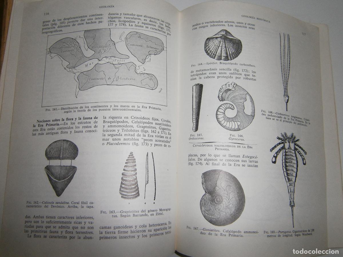 Libros de segunda mano de ciencias: ANTIGUO LIBRO DE TEXTO - CIENCIAS NATURALES - Foto 2