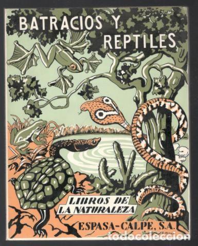 Libros de segunda mano: Mart&iacute; de Tortajada, Josefa: Los batracios y los reptiles - Foto 1