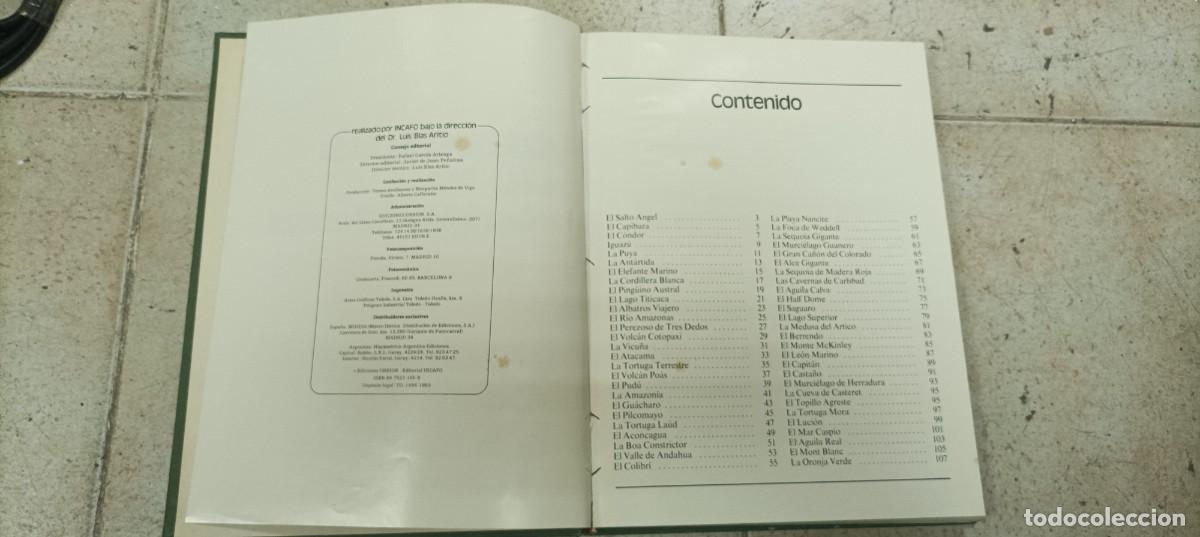 Libros de segunda mano: Records de la naturaleza ediciones Urbion - Foto 2