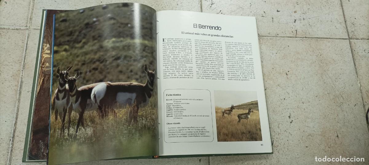 Libros de segunda mano: Records de la naturaleza ediciones Urbion - Foto 3