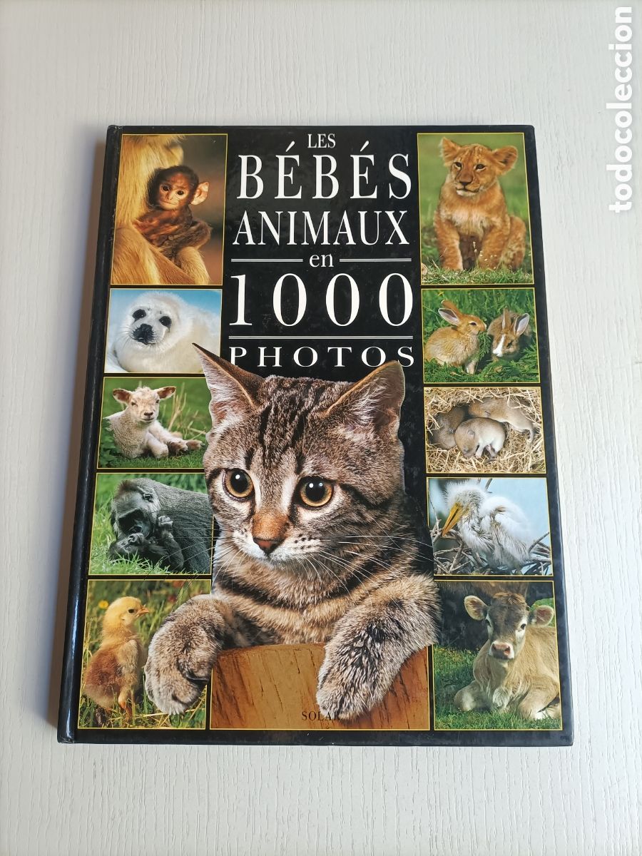 Libros de segunda mano: Les bebes animaux en 1000 photos - Foto 2