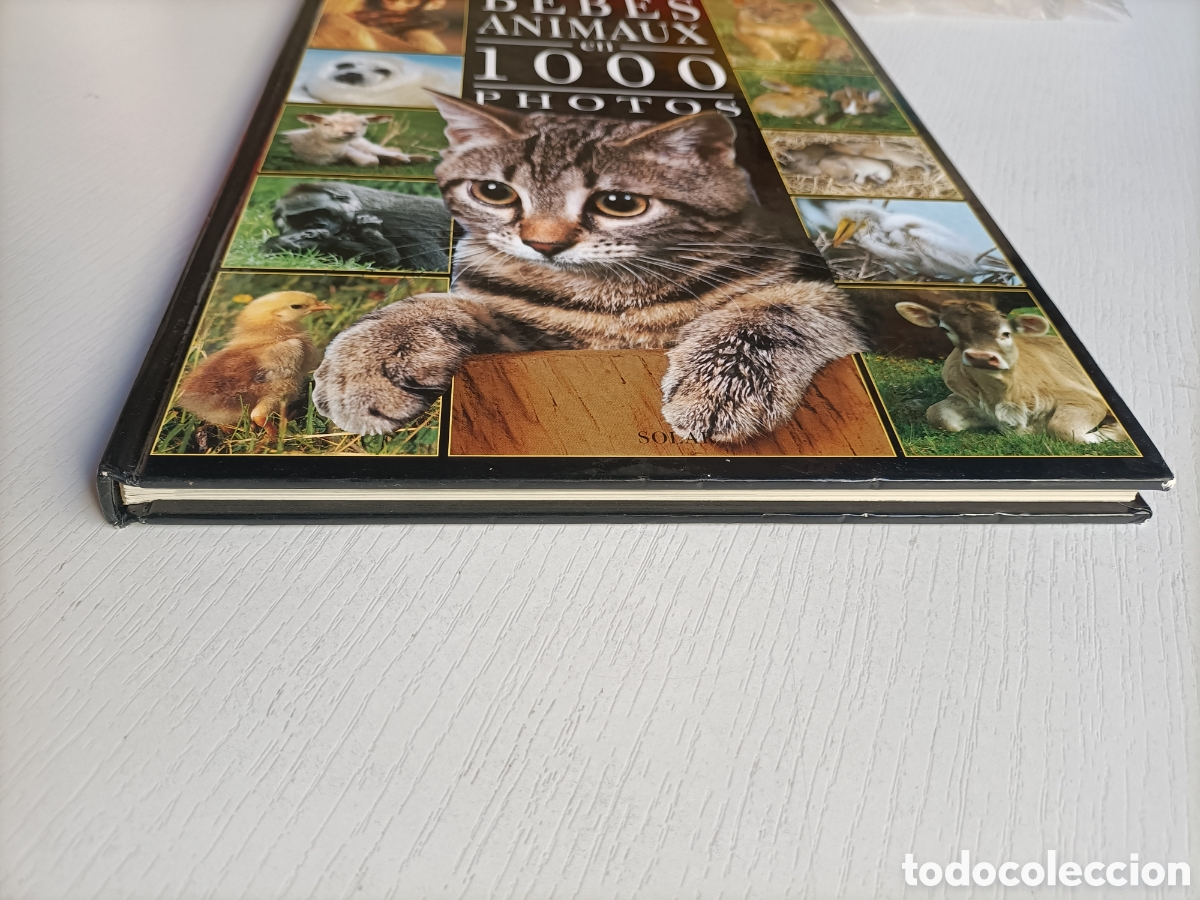 Libros de segunda mano: Les bebes animaux en 1000 photos - Foto 3