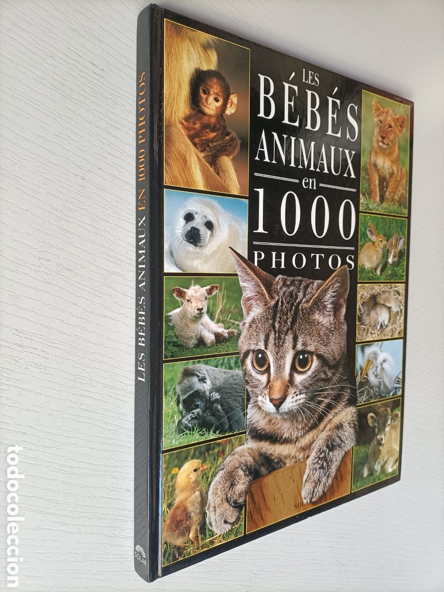 Libros de segunda mano: Les bebes animaux en 1000 photos - Foto 1