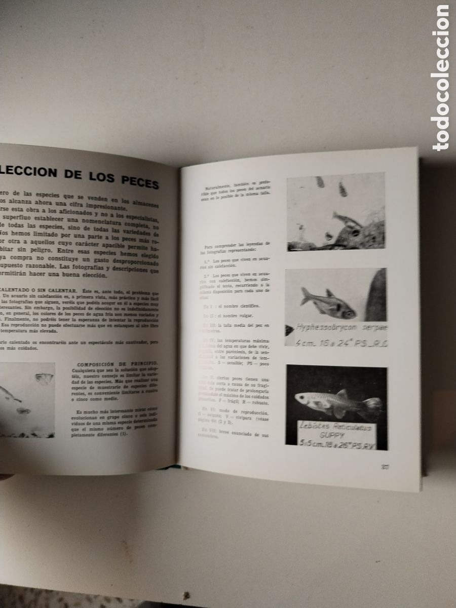 Libros de segunda mano: ELIJA Y CUIDE SUS PECES DE ACUARIO - Foto 3
