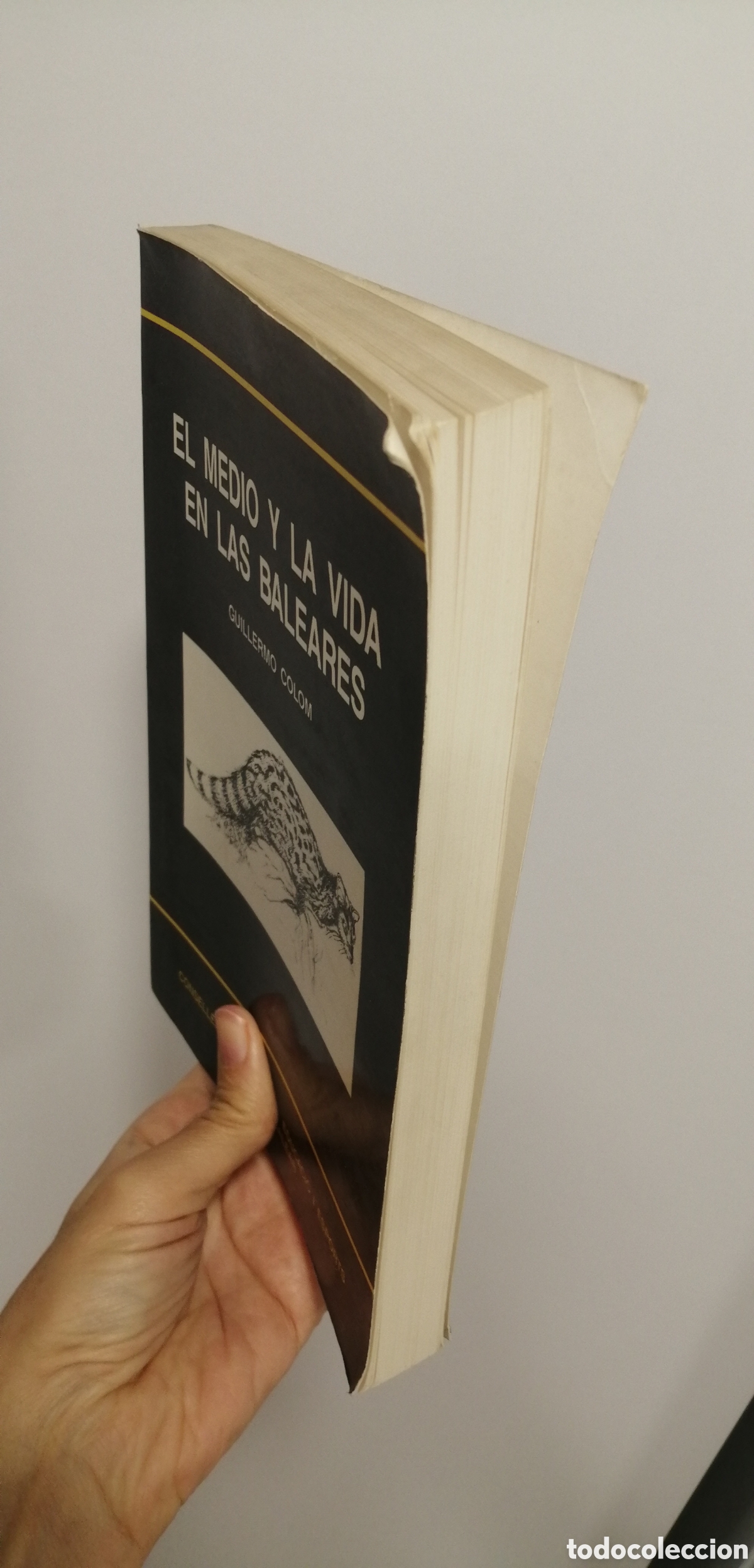 Libros de segunda mano: El medio y la vida en las Baleares Guillermo Colom - Foto 3