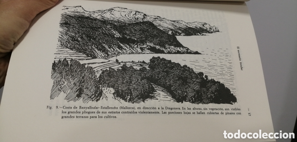 Libros de segunda mano: El medio y la vida en las Baleares Guillermo Colom - Foto 7