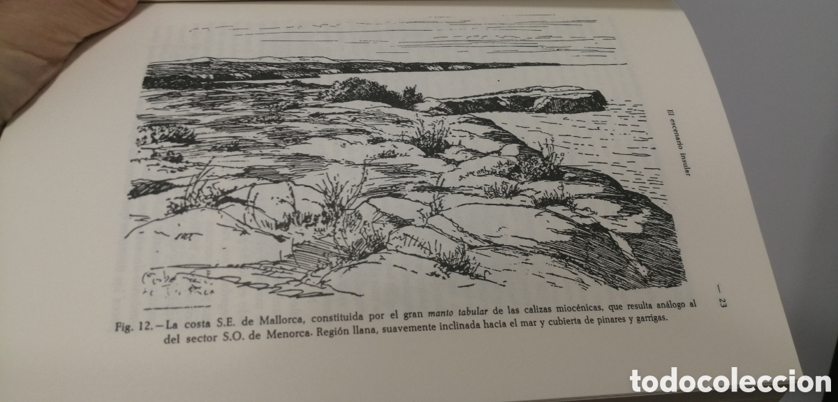 Libros de segunda mano: El medio y la vida en las Baleares Guillermo Colom - Foto 8