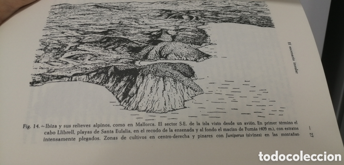 Libros de segunda mano: El medio y la vida en las Baleares Guillermo Colom - Foto 9
