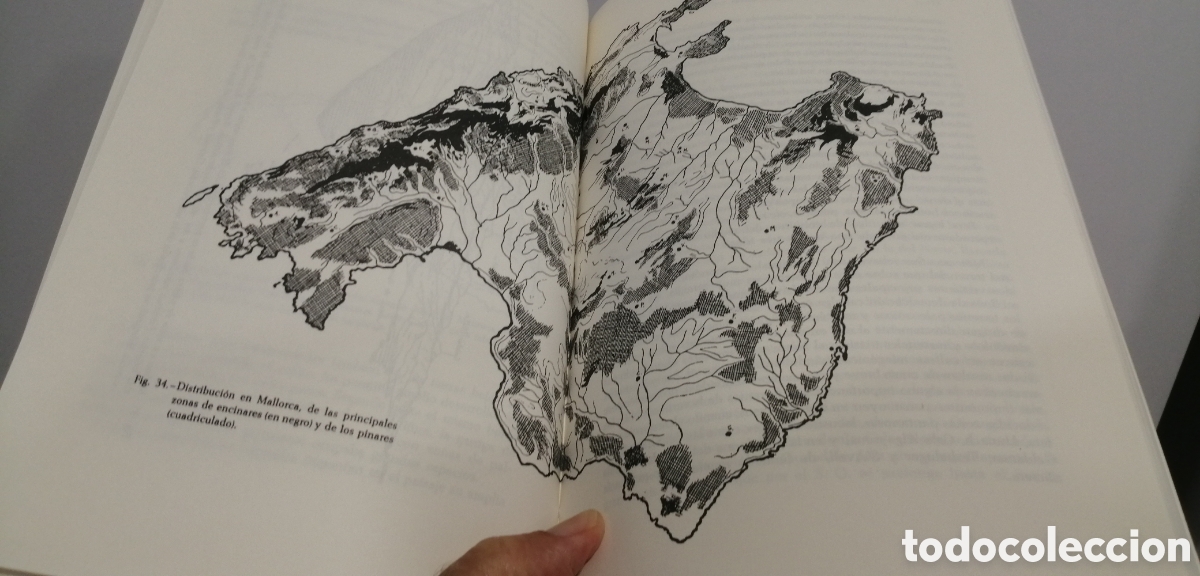 Libros de segunda mano: El medio y la vida en las Baleares Guillermo Colom - Foto 10