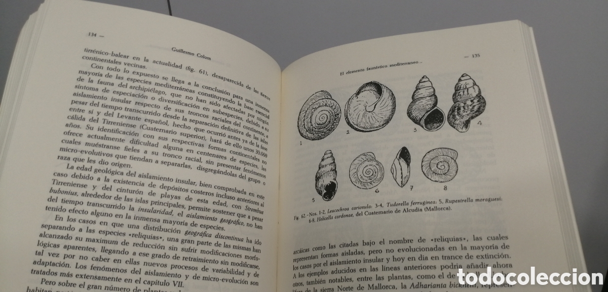 Libros de segunda mano: El medio y la vida en las Baleares Guillermo Colom - Foto 12