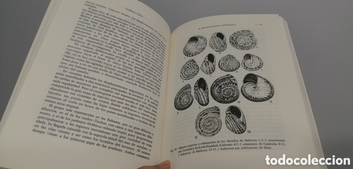 Libros de segunda mano: El medio y la vida en las Baleares Guillermo Colom - Foto 15