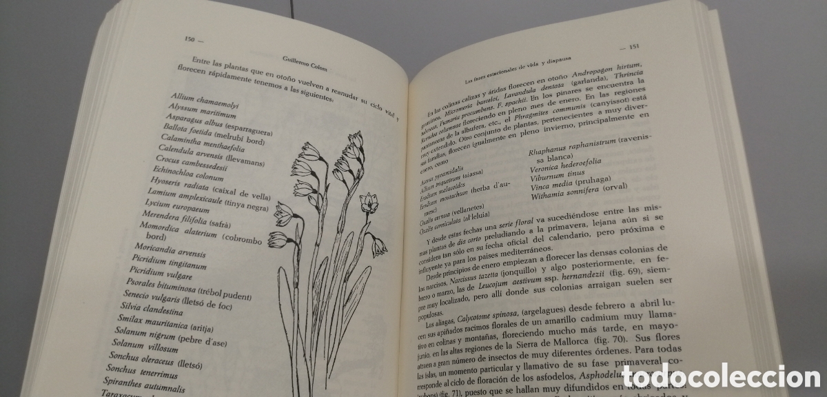 Libros de segunda mano: El medio y la vida en las Baleares Guillermo Colom - Foto 16