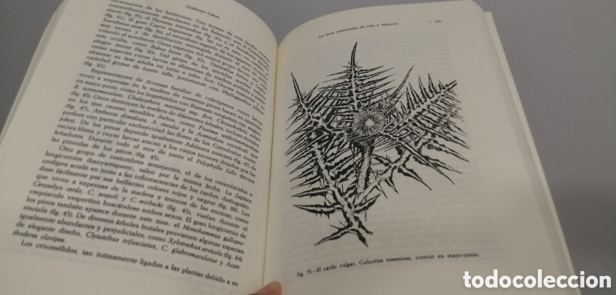Libros de segunda mano: El medio y la vida en las Baleares Guillermo Colom - Foto 17