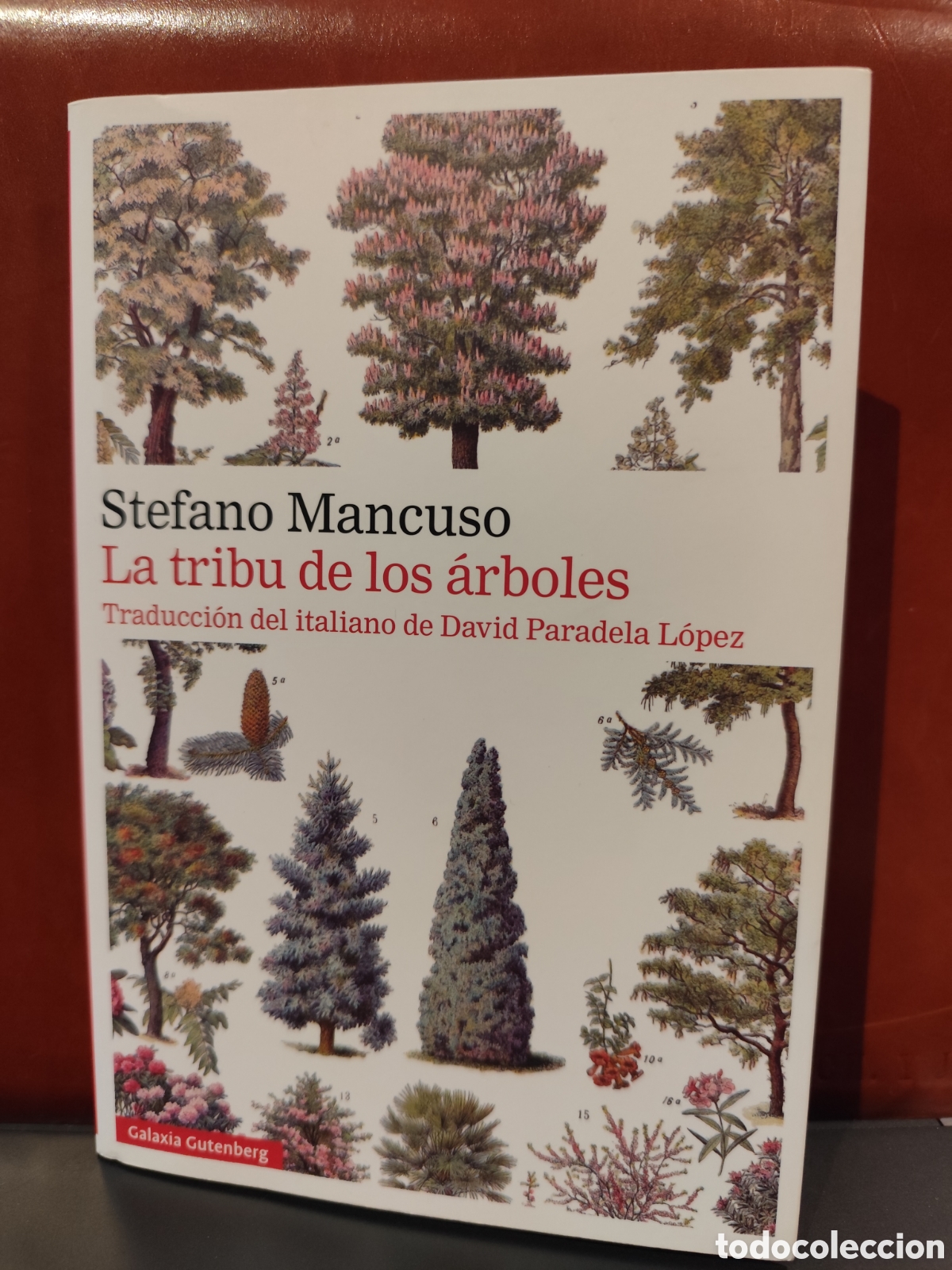 Libros de segunda mano: La tribu de los arboles. Stefano Mancuso - Foto 1