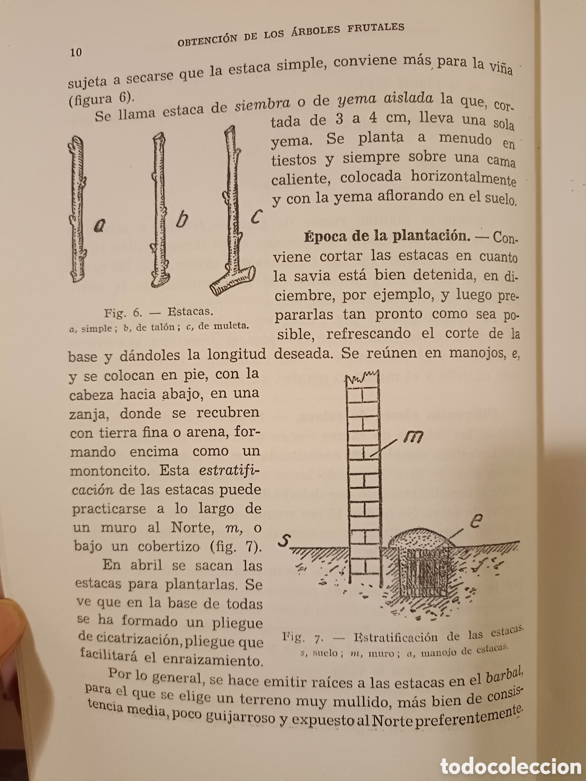 Libros de segunda mano: Manual de Arboricultura Frutal - Foto 5