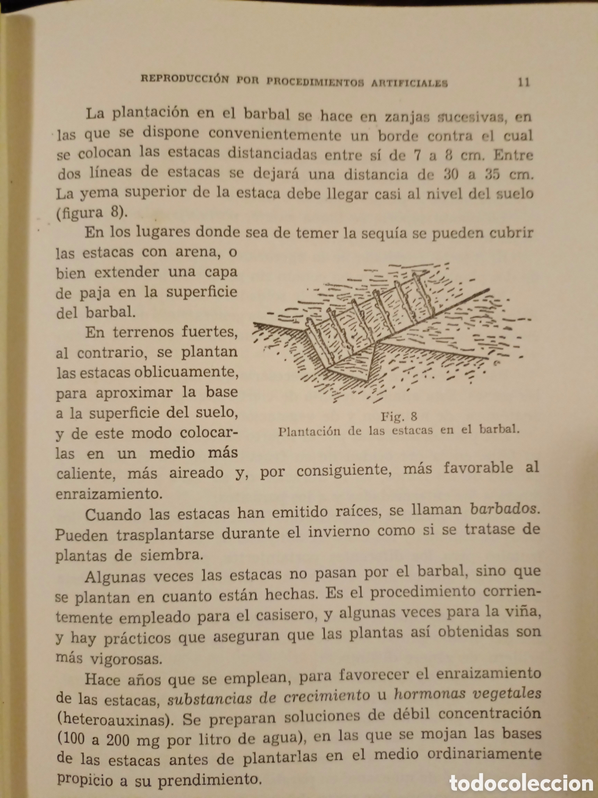 Libros de segunda mano: Manual de Arboricultura Frutal - Foto 6