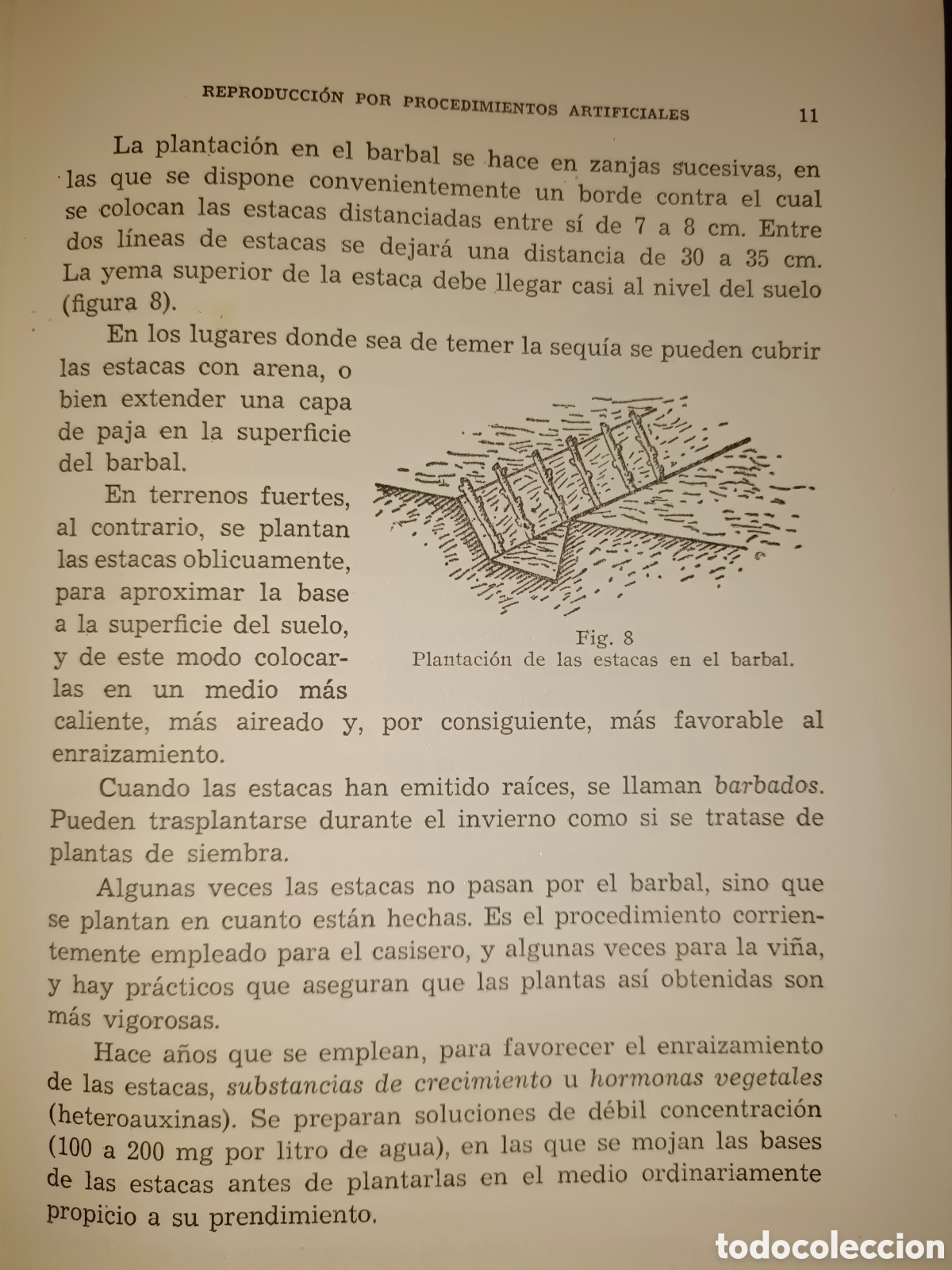 Libros de segunda mano: Manual de Arboricultura Frutal - Foto 7