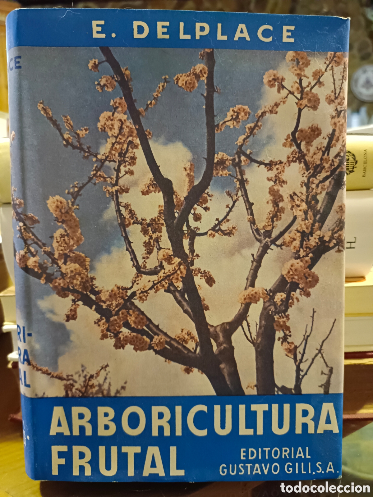 Libros de segunda mano: Manual de Arboricultura Frutal - Foto 1