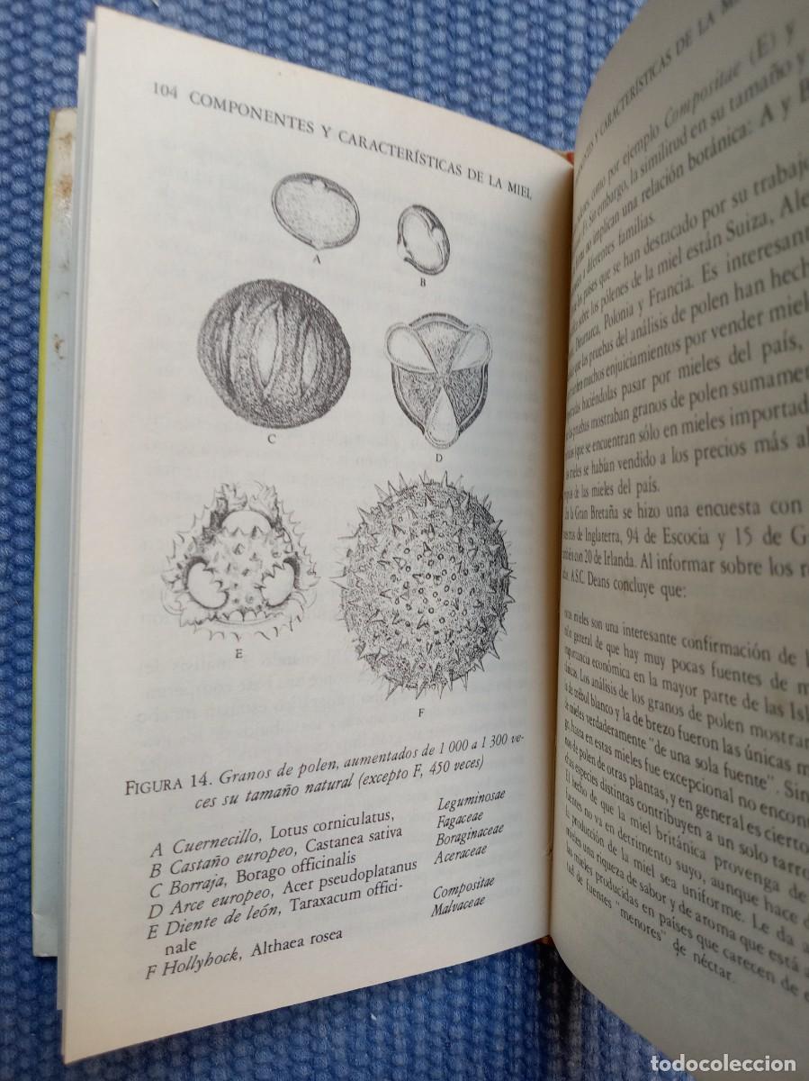 Libros de segunda mano: Crane, Eva: El libro de la miel - Apicultura - - Foto 2