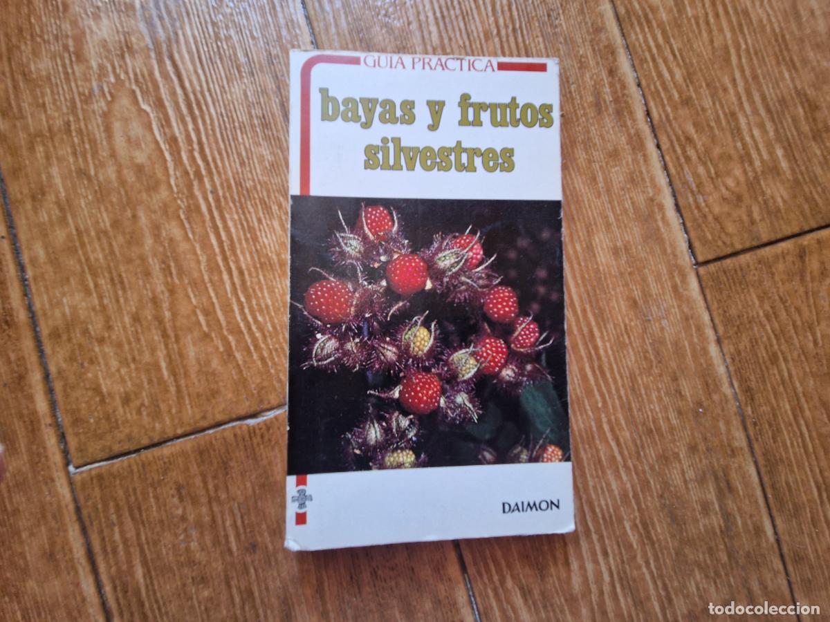 Libros de segunda mano: GU&Iacute;A PR&Aacute;CTICA DE BAYAS Y FRUTOS SILVESTRES DAIMON - Foto 1