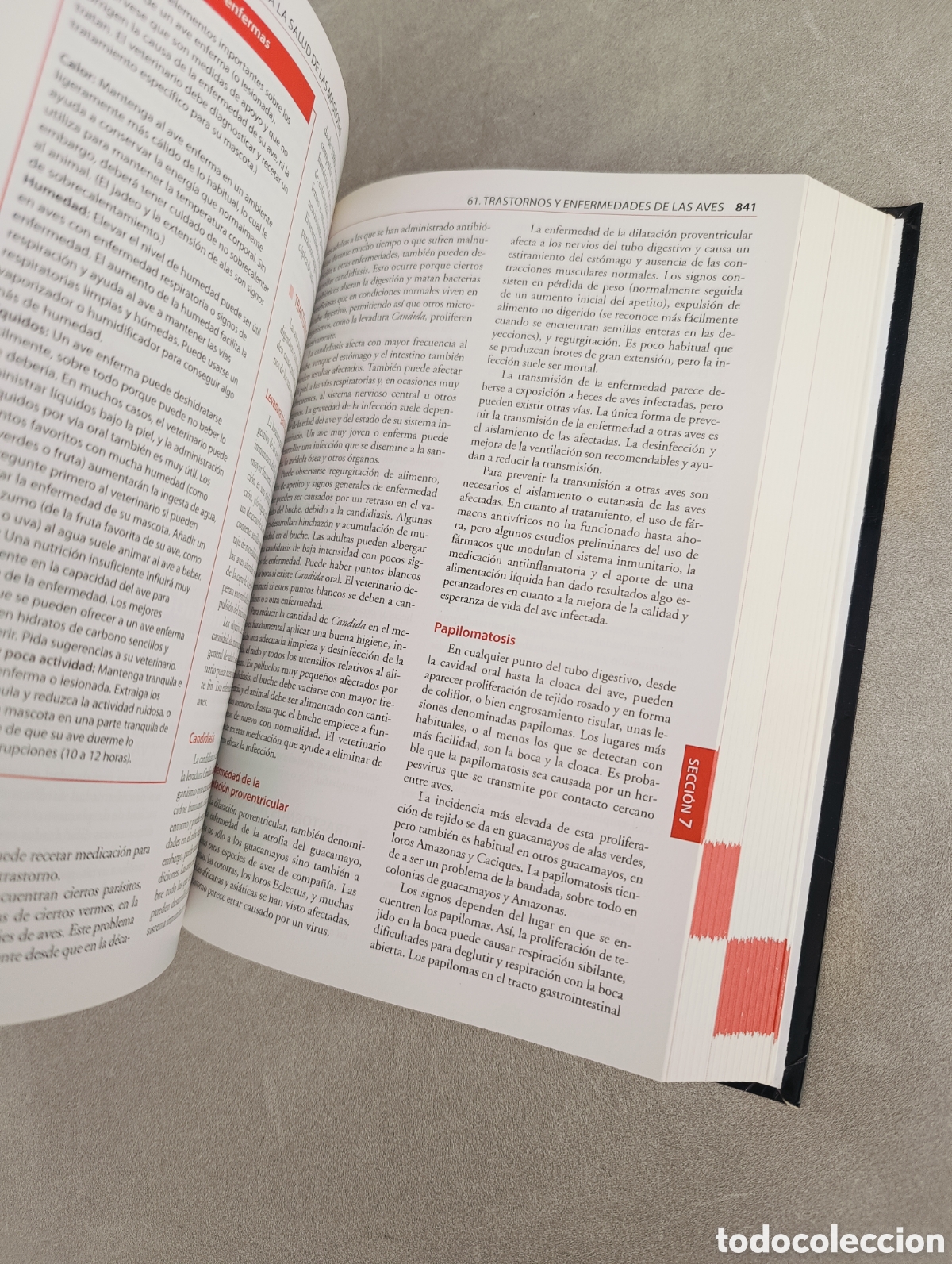Libros de segunda mano: Manual Merck para la salud de las Mascotas. - Foto 4
