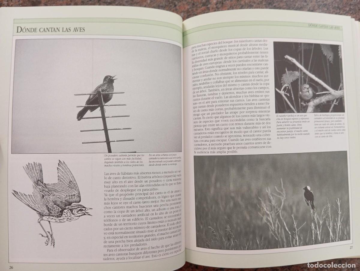 Libros de segunda mano: AVES CANTORAS - CHRIS HARBARD - Foto 2