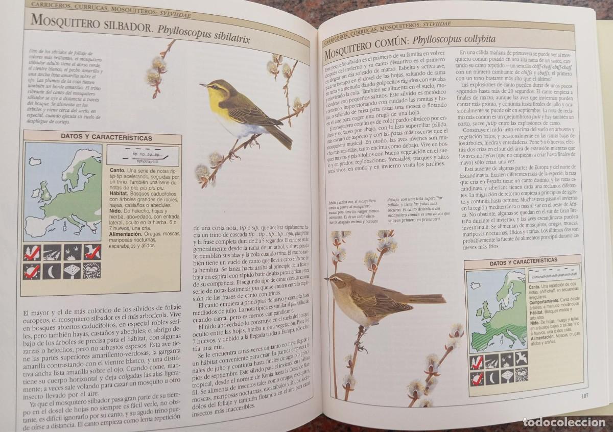 Libros de segunda mano: AVES CANTORAS - CHRIS HARBARD - Foto 3