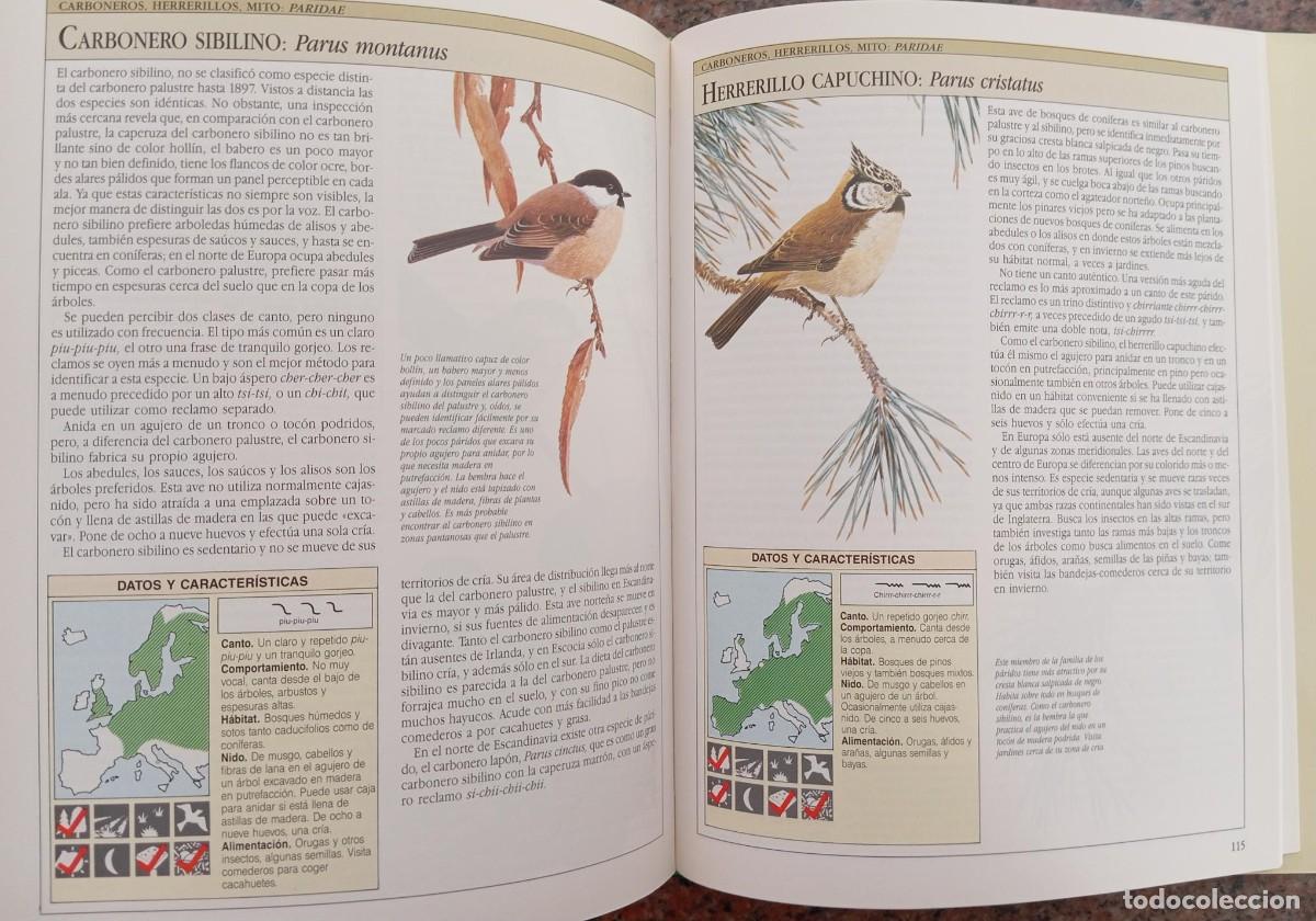 Libros de segunda mano: AVES CANTORAS - CHRIS HARBARD - Foto 4
