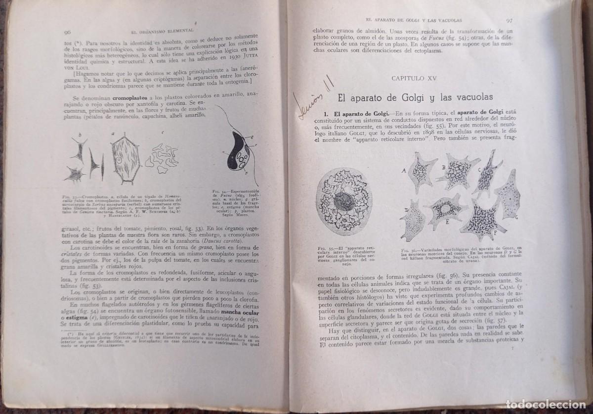 Libros de segunda mano: BIOLOGIA GENERAL - S. ALVARADO - 2 TOMOS - Foto 3
