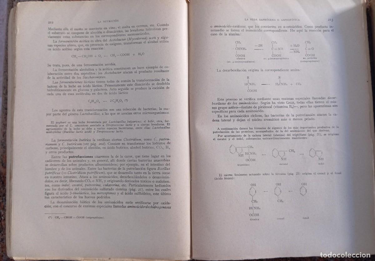 Libros de segunda mano: BIOLOGIA GENERAL - S. ALVARADO - 2 TOMOS - Foto 4