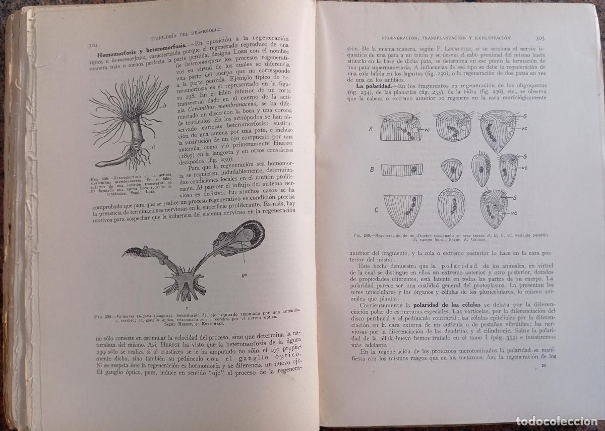 Libros de segunda mano: BIOLOGIA GENERAL - S. ALVARADO - 2 TOMOS - Foto 5