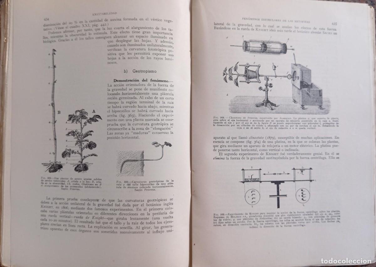 Libros de segunda mano: BIOLOGIA GENERAL - S. ALVARADO - 2 TOMOS - Foto 10