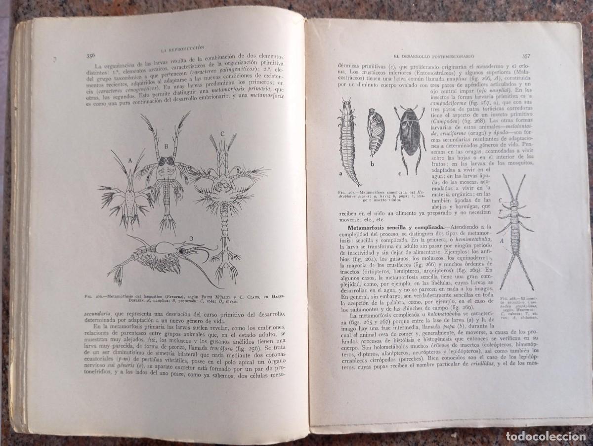 Libros de segunda mano: BIOLOGIA GENERAL - S. ALVARADO - 2 TOMOS - Foto 11