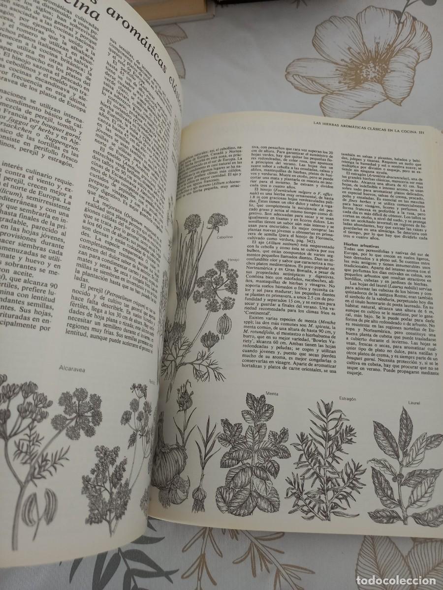 Libros de segunda mano: EL GRAN LIBRO DEL JARDIN - ED. BLUME 1983 2 TOMOS EN 1 - Foto 2